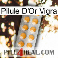 Vigra Gold Pill levitra1